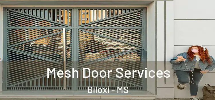 Mesh Door Services Biloxi - MS